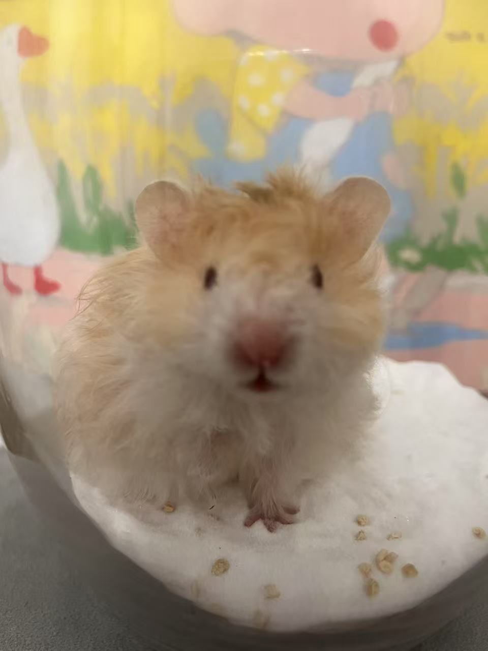 五一特价包邮 可爱❤️容易上手